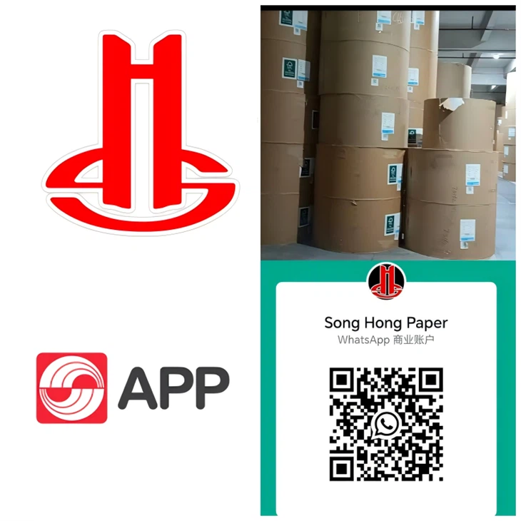 앱 종이 재활용 코팅 흰색 듀플렉스 보드 칩 보드